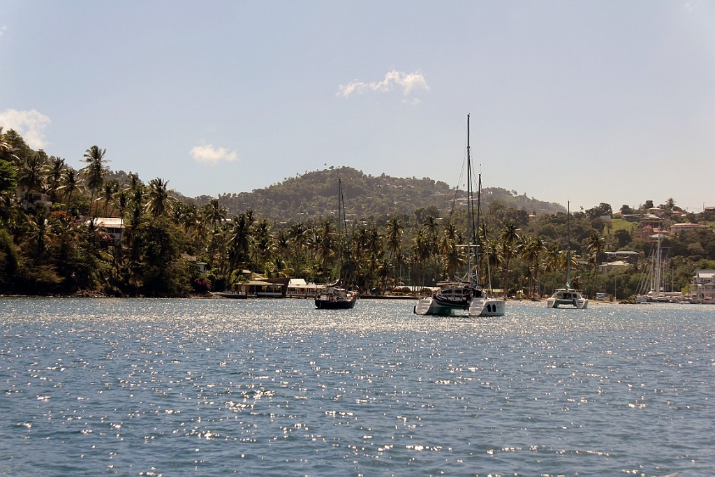 cruise14 (703).jpg
